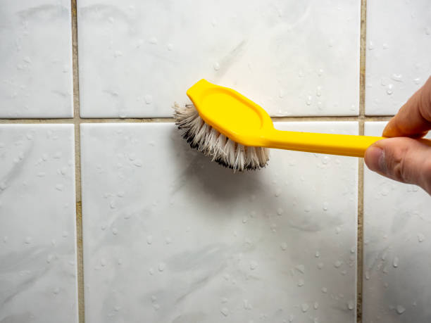 Best Local Mold Removal Service  in Guthrie, KY