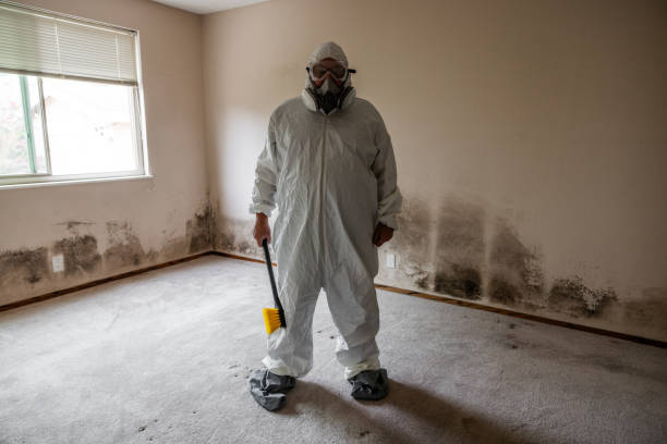 Best Best Mold Removal Companies  in Guthrie, KY